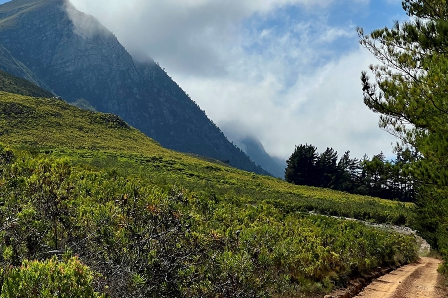 3 Bedroom Property for Sale in Hemel and Aarde Western Cape